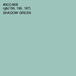 #9CC4BB - Shadow Green Color Image